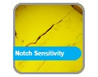 notch sensibility